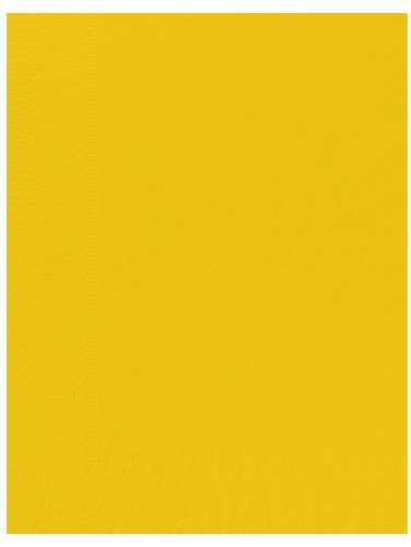 Image de Serviettes Ouate 30x39cm CITRON 2P - Colis de 2400